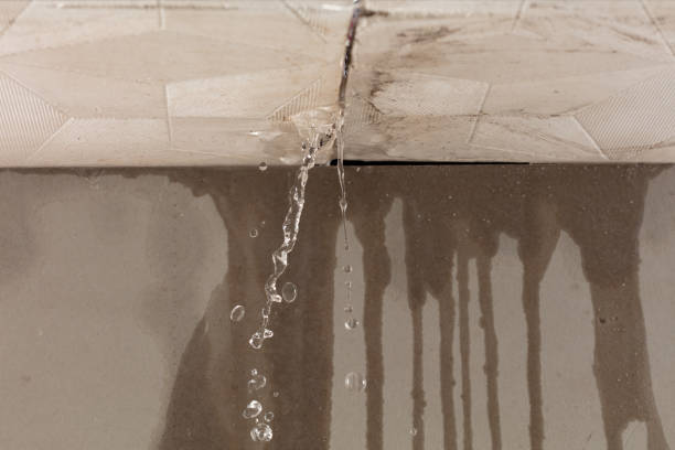 Professional Water Damage Repair technician working in Carleton, MI